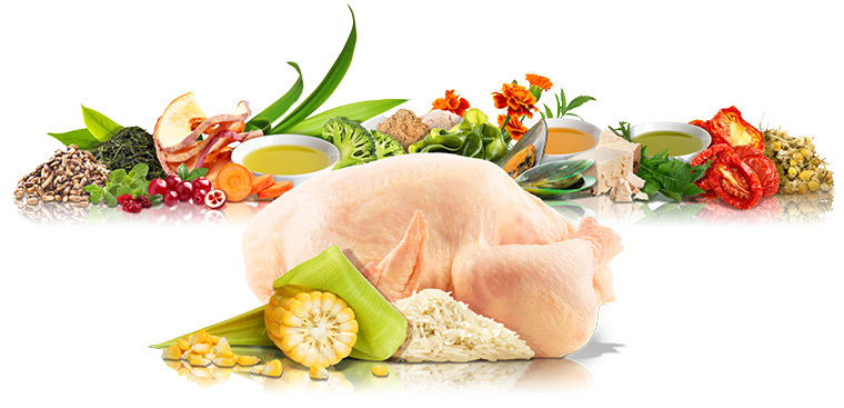 Zutaten für PLATINUM Trockennahrung Adult Chicken