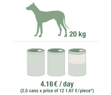 Daily feeding amount conventional wet food