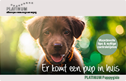 PLATINUM Puppygids: Er komt een pups in huis