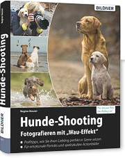 Hunde-Shooting