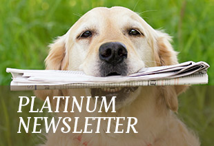 PLATINUM Newsletter