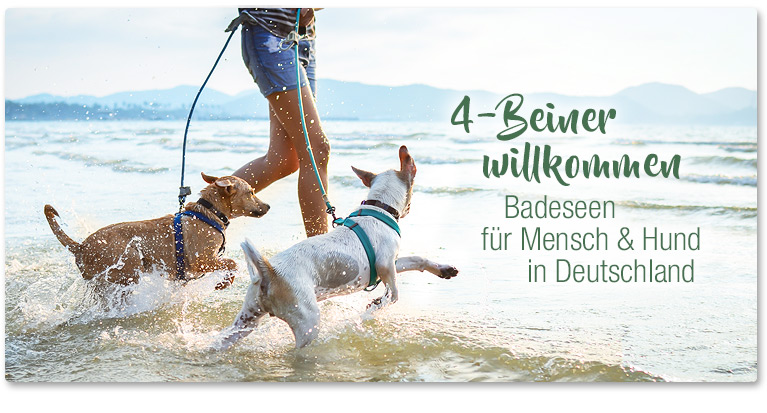 Badeseen für Hunde in Deutschland