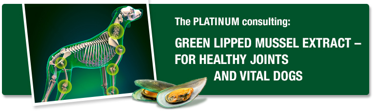 Green lipped mussel - effects and ingredients
