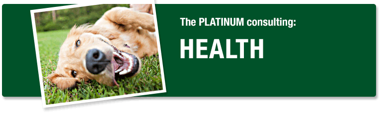PLATINUM consulting health