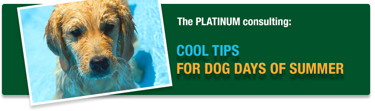 Cool tips for dog days of summer