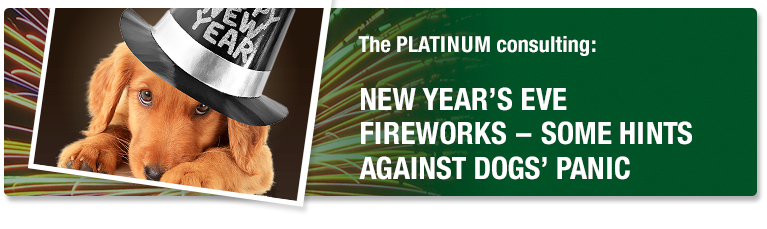 New Year’s Eve fireworks - hints to work against dogs’ anxieties and panic