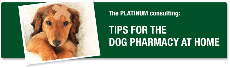 Tips for the dog pharmacy at home