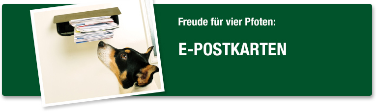 PLATINUM e-Postkarten