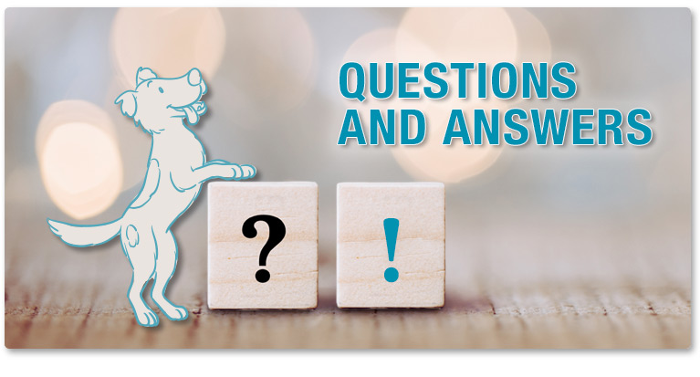 Questions & Answers Care