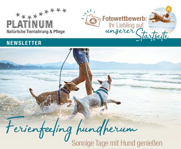 PLATINUM Badeseen für Hunde