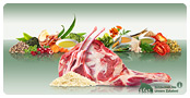 Adult Lamb+Rice droogvoer afbeelding 1