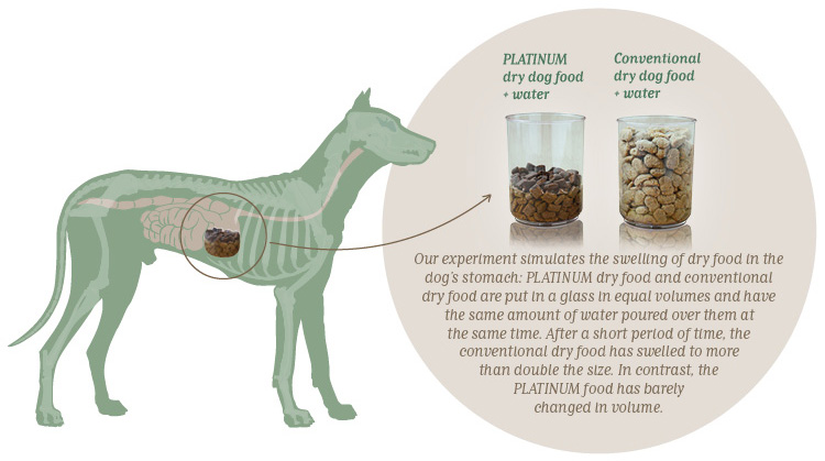 PLATINUM dry dog food does not swell in the stomach!