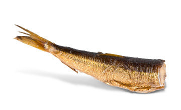 (Dried) fish