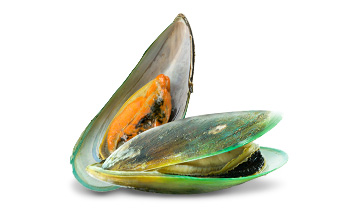 Green lipped mussel extract